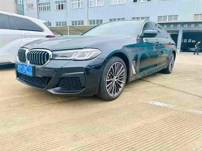 2022 BMW 5 Series Model Second Facelift 530Li Leading M Sport Package, фото 1, лот 10768846