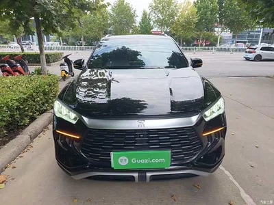 2024 BYD Song Pro New Energy Glory Edition DM-i 71KM Pilot, фото 3, лот 11460657