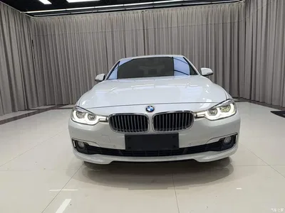 2018 BMW 3 Series 320Li Fashion Style, фото 3, лот 10586258