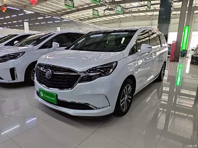 2020 Buick GL8 Model ES Landglory 653T Comfort, фото 2, лот 10262312