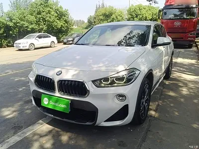 2019 BMW X2 (Import) sDrive20i M Off-Road Package China VI, фото 1, лот 10612214