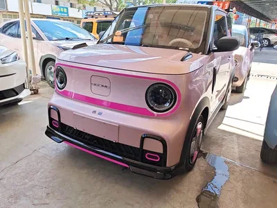 2024 Geely Galaxy Panda 200km Panda Kart, фото 2, лот 11512180