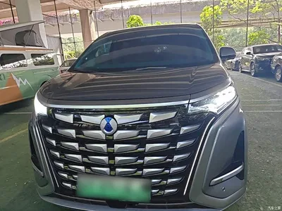 2022 Denza D9 DM-i 1040 Premium, фото 3, лот 11187666