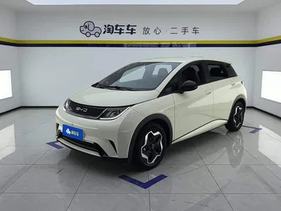 2021 BYD Dolphin 405km Freedom Edition, фото 1, лот 10247451