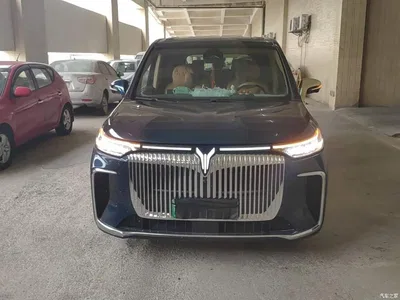 2025 Voyah Auto Voyah Dreamer PHEV AWD Excellent Kunpeng Edition, фото 3, лот 11190719