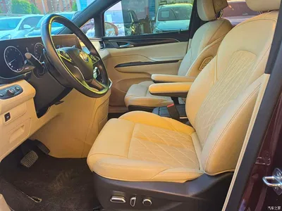2022 Buick GL8 ES Landmark 653T Luxury, фото 3, лот 10253068