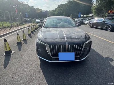 2023 Hongqi H5 1.5T DCT Smart Connect Joy Edition, фото 2, лот 11214860