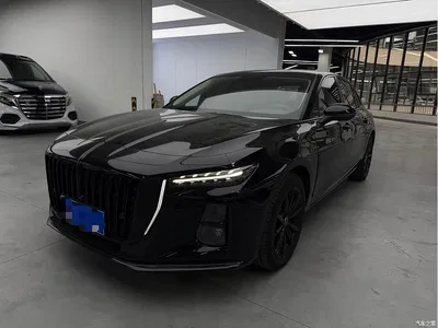 2024 Hongqi H5 1.5T DCT Smart Connect Flag Joy Edition, фото 1, лот 10360969