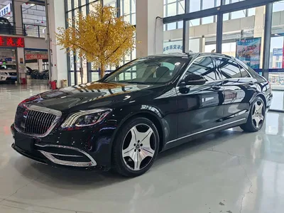 2020 Mercedes-Benz S-Class S 350 L Business Edition Collector's Version, фото 1, лот 10384178