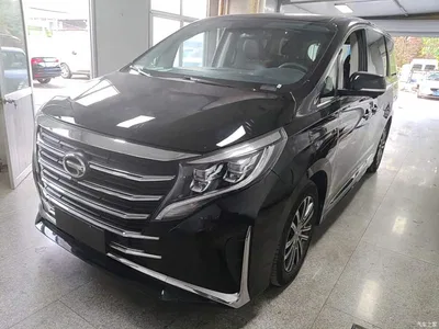 2021 GAC Trumpchi Trumpchi M8 Leading Show Series 390T Ultimate Edition, фото 2, лот 11184280