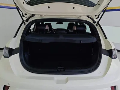 2025 Byd Dolphin, фото 4, лот 10246662