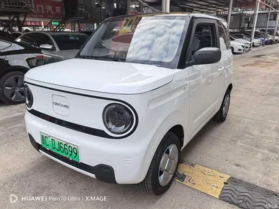 2025 Geely Galaxy Panda Model Year 210km Panda Kart, фото 1, лот 11569660