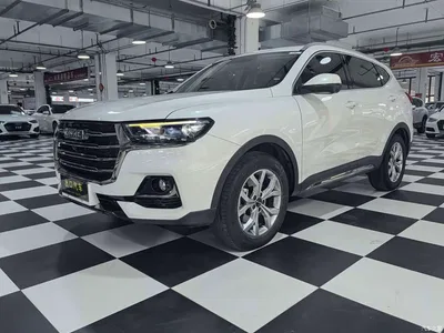 2021 Haval H6 Model National Trend Edition 1.5T Auto Champion, фото 1, лот 10674657