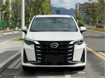 2021 GAC Trumpchi Trumpchi M6 PRO 270T DCT Luxury Edition, фото 2, лот 10418343