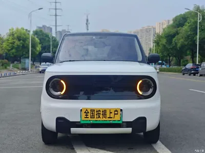 2023 Geely Galaxy Panda Mini 200km Endurance Bear, фото 2, лот 10431004