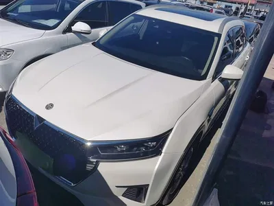 2021 Venucia Star 260T Auto 48V Mild Hybrid Star Edition, фото 2, лот 11153545