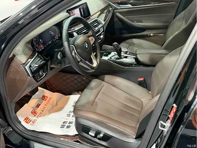 2020 BMW 5 Series 525Li Luxury Package, фото 4, лот 11528369