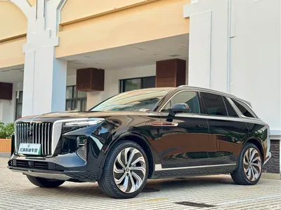 2021 Hongqi E-HS9 510km Flagship Edition 4-seater, фото 1, лот 10361117