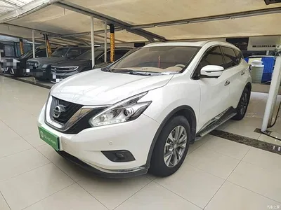 2019 Nissan Murano 2.5L XL 2WD Smart Connect Luxury Edition (China VI), фото 2, лот 11397067