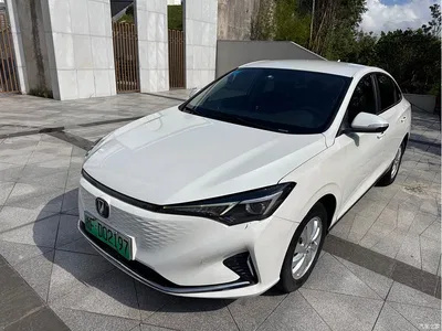 2022 Changan Eado New Energy EV460 Smart Ride-Hailing Edition (NCM), фото 1, лот 10274399