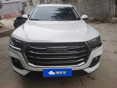 2021 Haval H6 National Trend Edition 1.5T Automatic Urban Edition, фото 2, лот 11201996