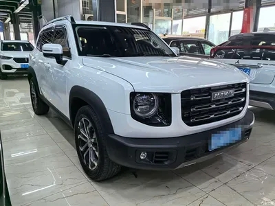 2021 Haval Big Dog 1.5T DCT 2WD Border Collie Edition, фото 3, лот 11183300