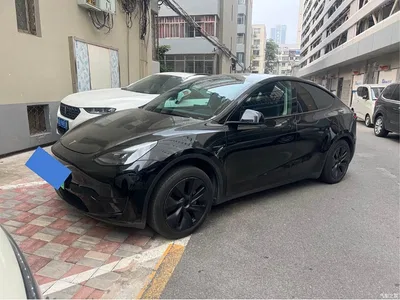 2023 Tesla Model Y Rear-Wheel Drive Edition, фото 1, лот 10817166