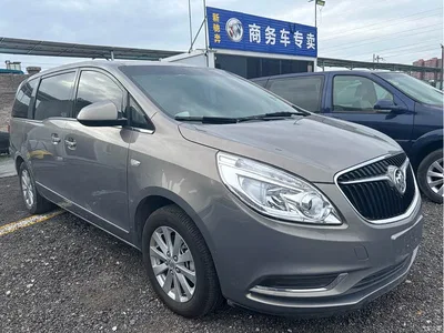 2017 Buick GL8 25S Premium Model China V, фото 3, лот 10256836