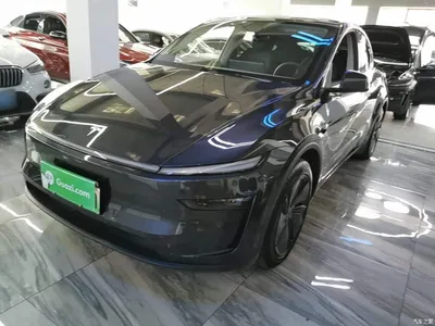 2025 Tesla Model Y Rear-Wheel Drive, фото 1, лот 10387167