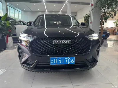 2021 Haval H6 National Trend Edition 2.0GDIT Automatic Champion, фото 1, лот 10282447