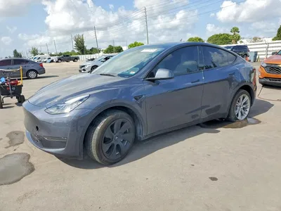 2023 TESLA MODEL Y, фото 1, лот 10852062