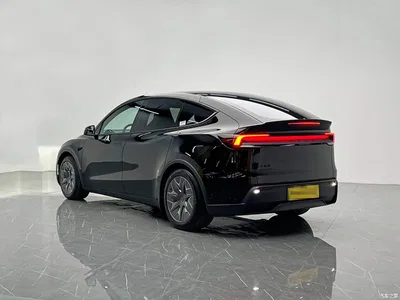 2025 Tesla Model Y L, фото 4, лот 10401926