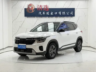 2023 Kia Seltos 1.5L CVT Luxury Edition, фото 1, лот 10336613