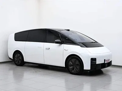 2025 Li Auto MEGA Model Home Family Special Edition, фото 4, лот 10444158