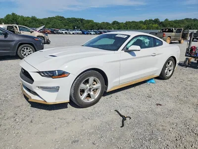 2019 FORD MUSTANG, фото 1, лот 10534831