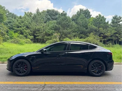 2023 Tesla Model 3 Rear-Wheel Drive, фото 4, лот 10366784