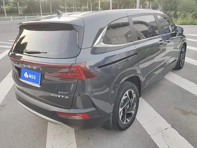 2022 Hyundai Kustu 270TGDi Smart Love Flagship TOP, фото 3, лот 10834088