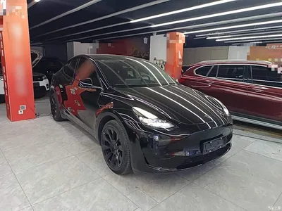 2022 Tesla Model Y Rear-Wheel Drive Version, фото 4, лот 11545847