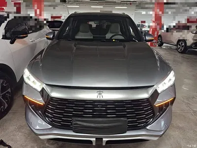 2023 BYD Song Pro New Energy Champion Edition DM-i 71KM Leading Type, фото 3, лот 10272599