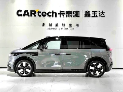 2025 ZEEKR MIX Smart Driving Edition, фото 4, лот 10291043