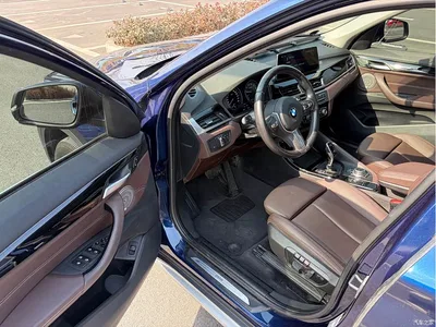 2020 BMW X1 sDrive20Li Premium Edition, фото 3, лот 10466995