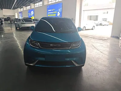 2021 BYD Dolphin 405km Freedom Edition, фото 2, лот 10894337