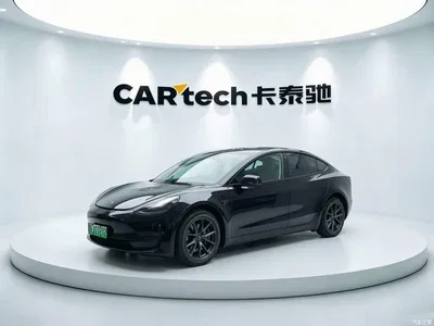 2022 Tesla Model 3 Model Rear-Wheel Drive Version, фото 1, лот 10418736