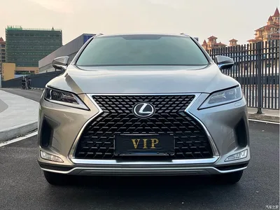 2020 Lexus RX 300 2WD Elite Edition China VI, фото 2, лот 10514050