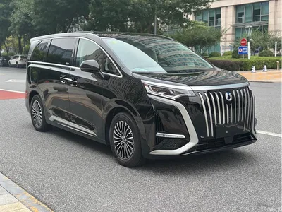 2024 Denza D9 EV 620 Premium, фото 3, лот 10357266