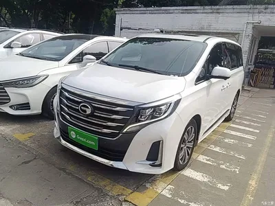 2020 GAC Trumpchi Trumpchi M8 Pilot 390T Flagship Edition, фото 1, лот 11187165