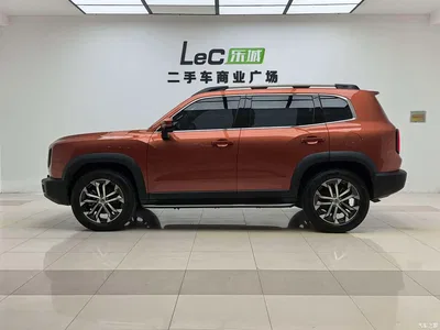 2021 Haval Big Dog 1.5T DCT 2WD Malinois Edition, фото 4, лот 11302172