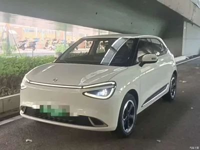 2024 Dongfeng Yipai Nano 01 330 Plus Smart+, фото 2, лот 11067916