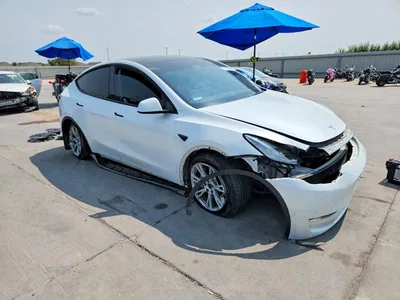 2023 TESLA MODEL Y, фото 4, лот 10701175