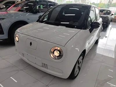 2021 Ora Black Cat 301km Pet Edition, фото 1, лот 10447796